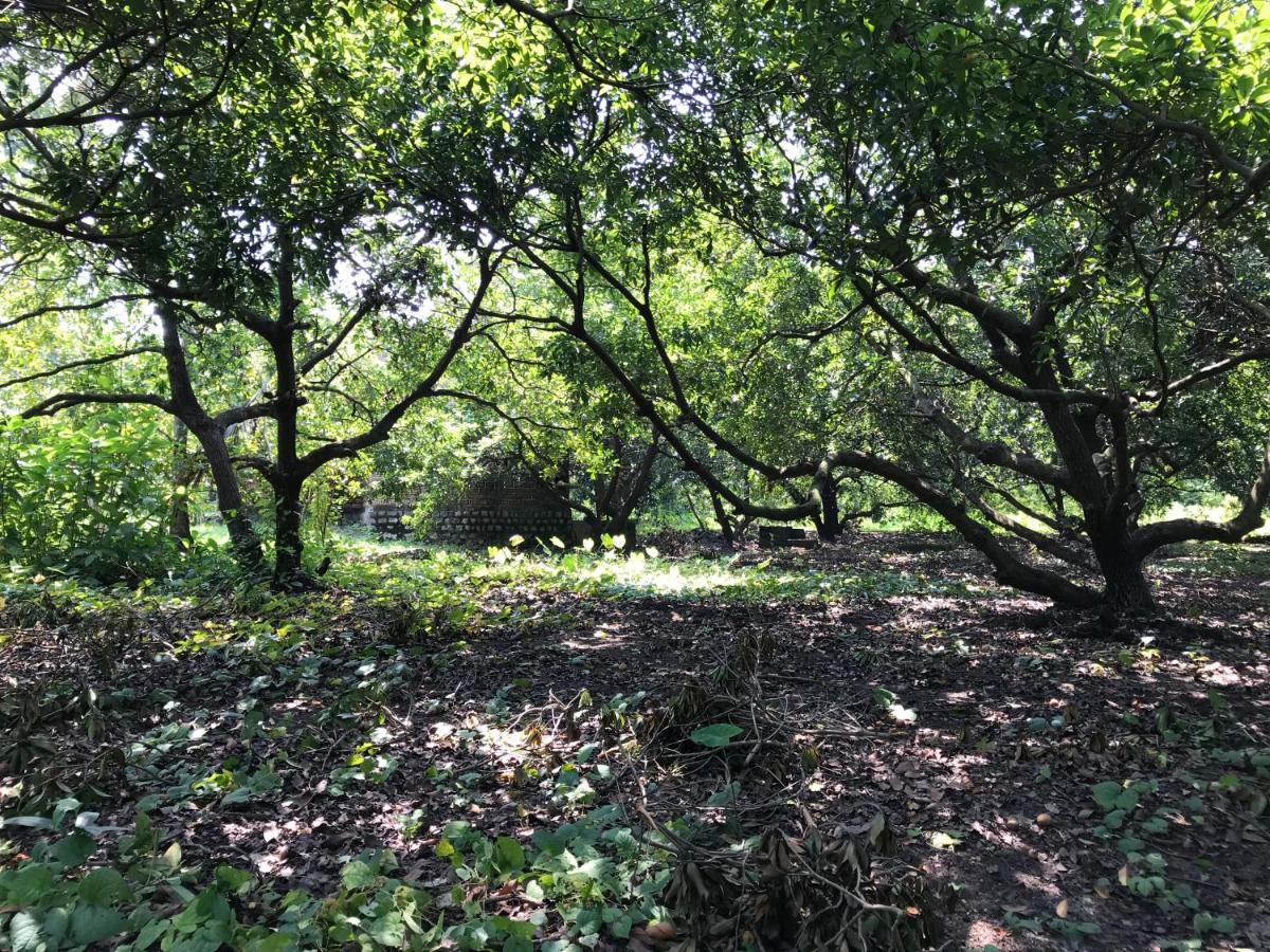 داهانو Zohra Baugh, A Green & Organic Farmhouse Stay With All Amenities المظهر الخارجي الصورة