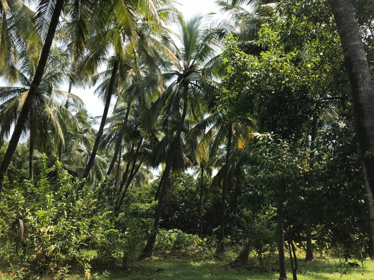 داهانو Zohra Baugh, A Green & Organic Farmhouse Stay With All Amenities المظهر الخارجي الصورة