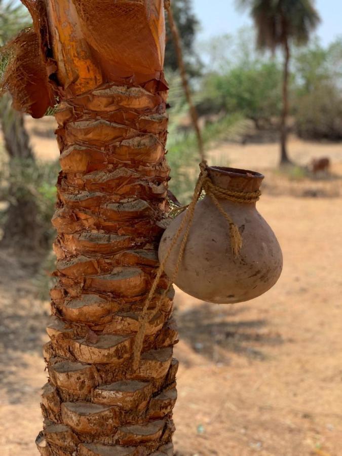 داهانو Zohra Baugh, A Green & Organic Farmhouse Stay With All Amenities المظهر الخارجي الصورة