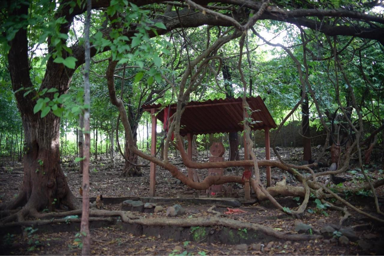 داهانو Zohra Baugh, A Green & Organic Farmhouse Stay With All Amenities المظهر الخارجي الصورة